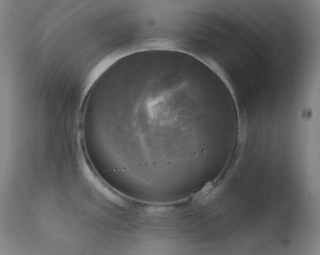 X0000111221389200907021324