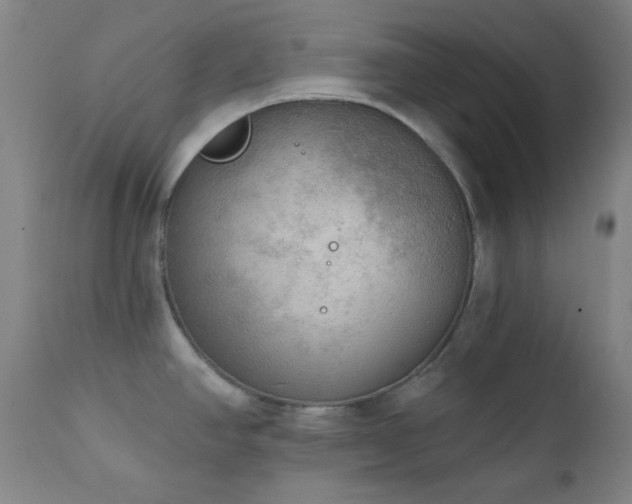 X0000111221390200907021324