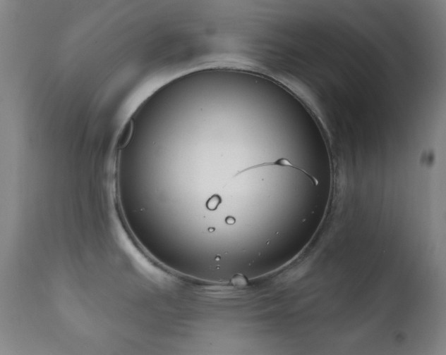 X0000111221391200907021324