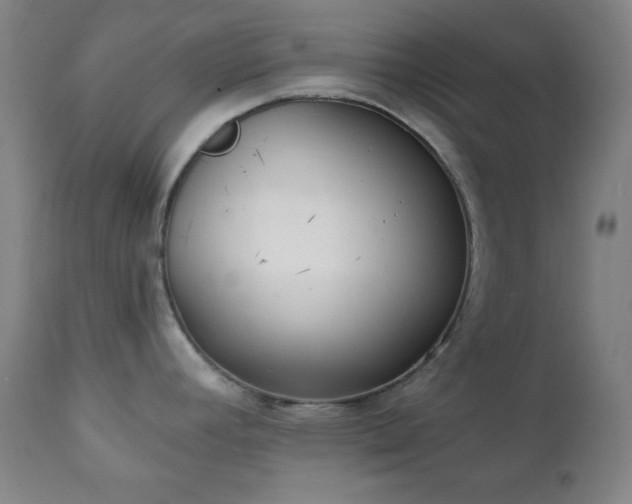 X0000111221392200907021324