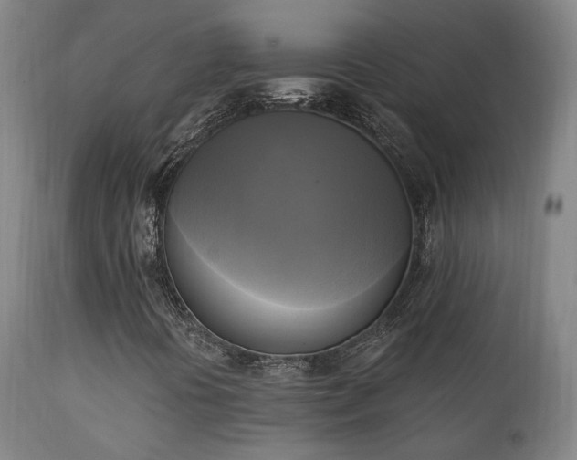 X0000111221394200907021323