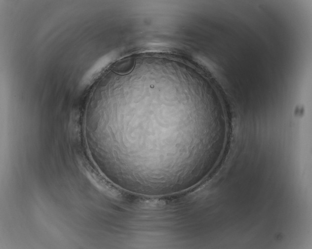 X0000111221403200907021323