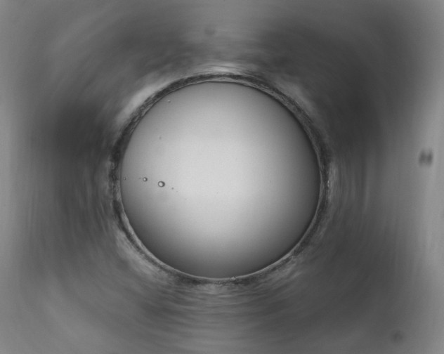 X0000111221404200907021323