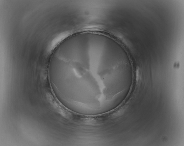 X0000111221405200907021323