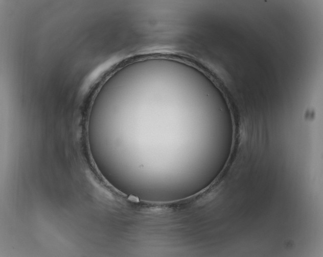 X0000111221406200907021323