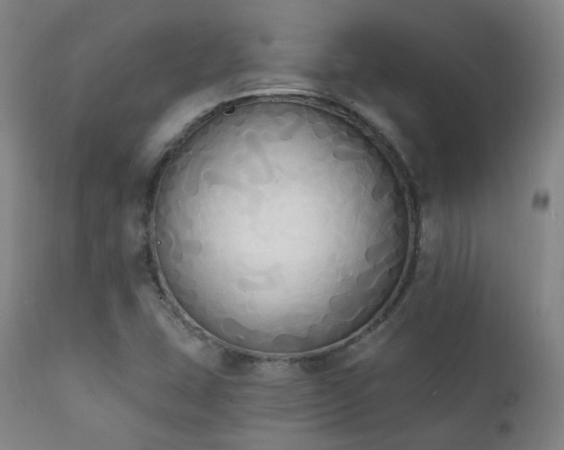 X0000111221407200907021323