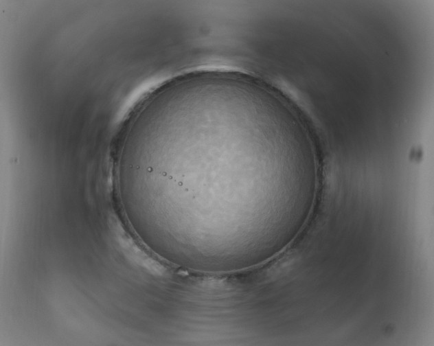 X0000111221408200907021323