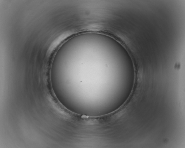 X0000111221410200907021323