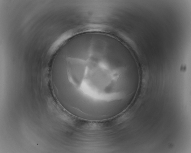 X0000111221411200907021323