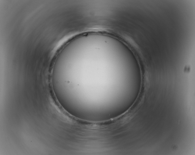 X0000111221412200907021323