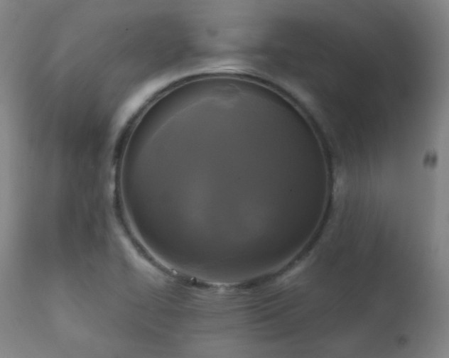 X0000111221414200907021323