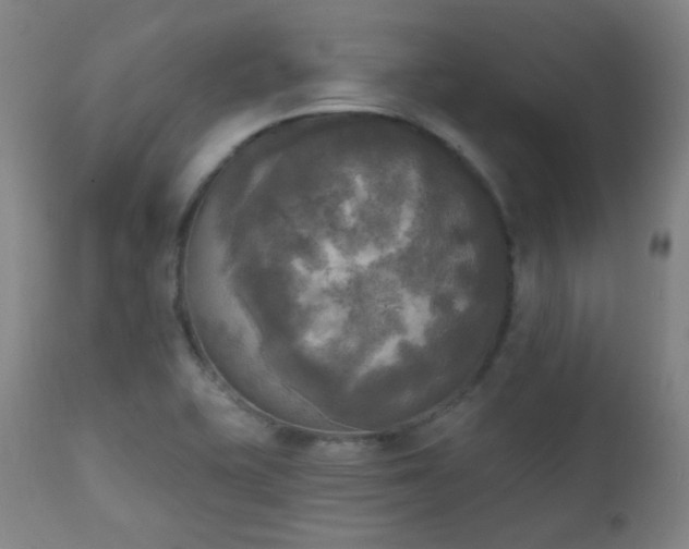 X0000111221415200907021323