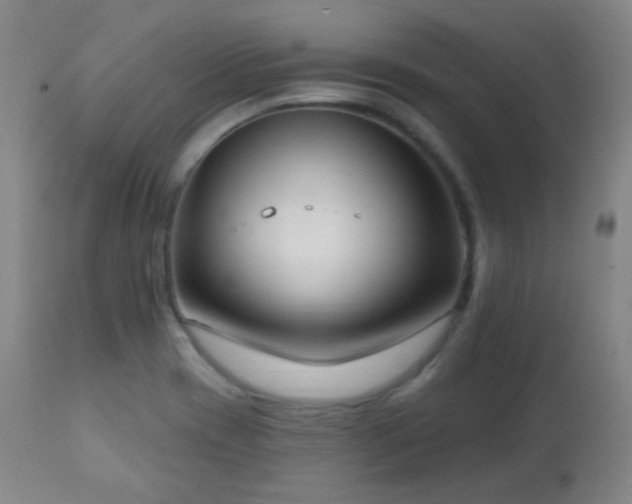 X0000111221417200907021323