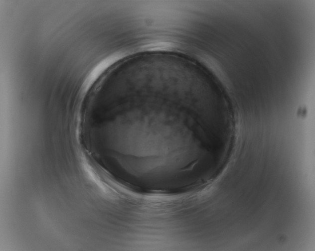 X0000111221418200907021323
