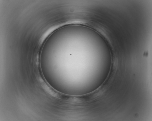 X0000111221420200907021324