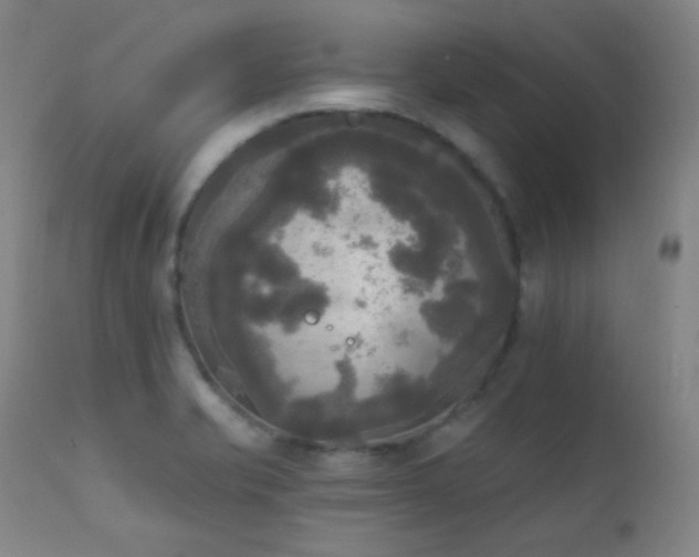 X0000111221421200907021324
