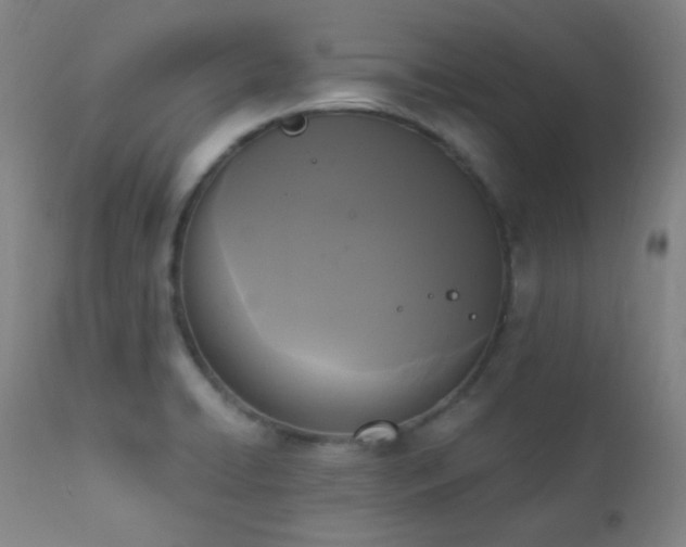 X0000111221422200907021324