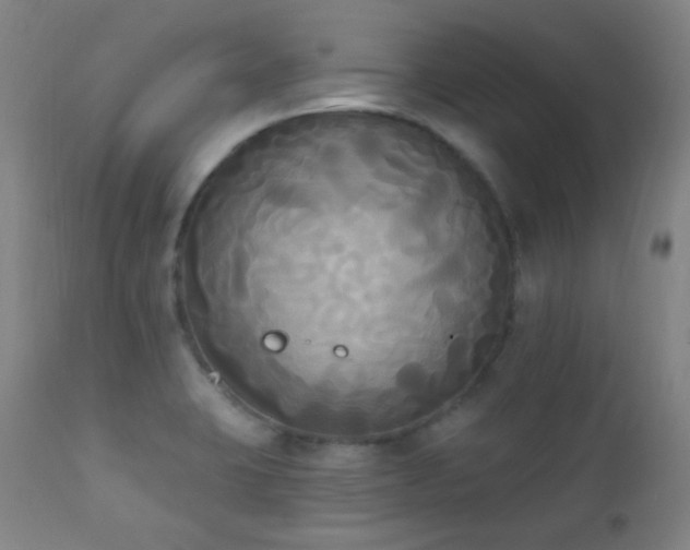 X0000111221423200907021324