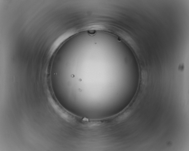 X0000111221426200907021324
