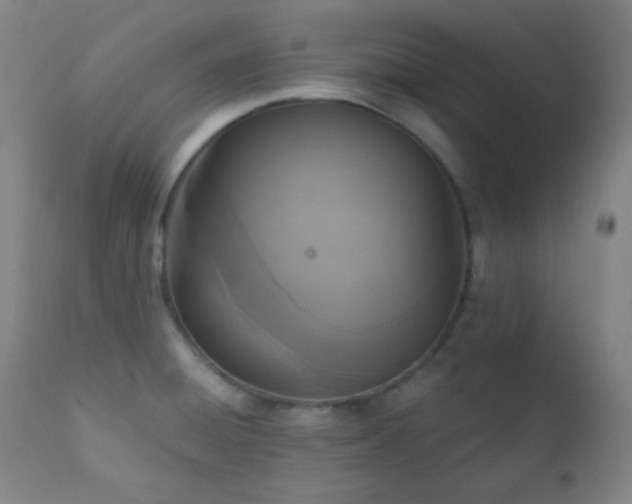 X0000111221428200907021324