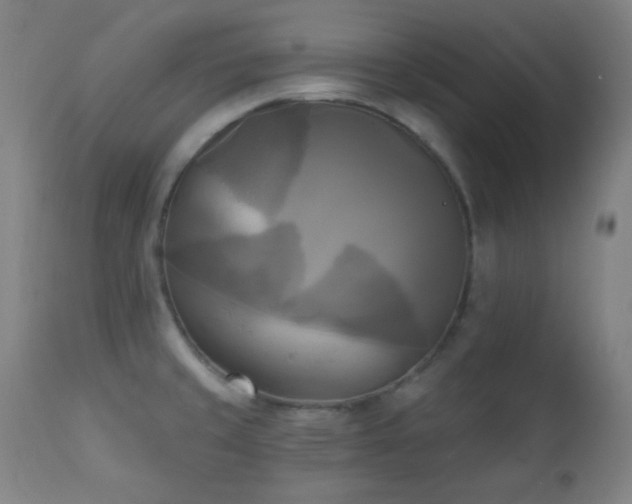X0000111221429200907021324