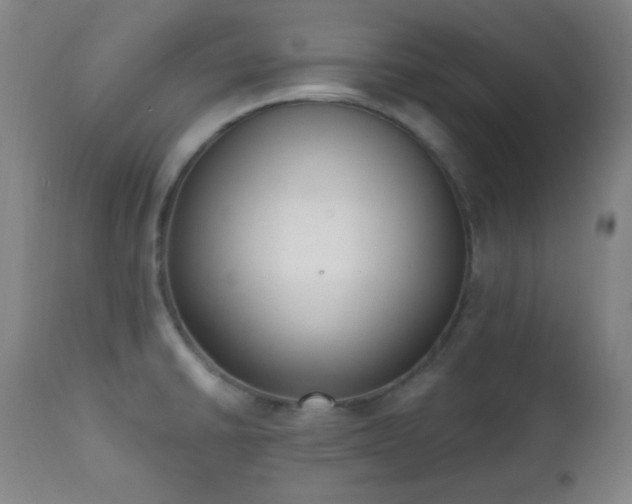 X0000111221430200907021324
