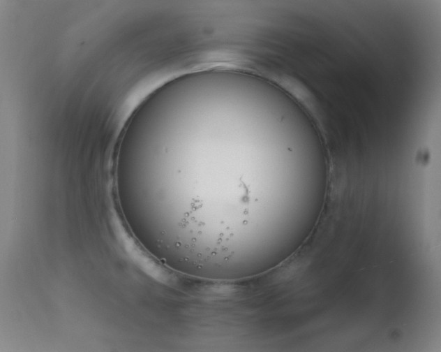X0000111221431200907021324