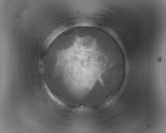 X0000111221433200907021324
