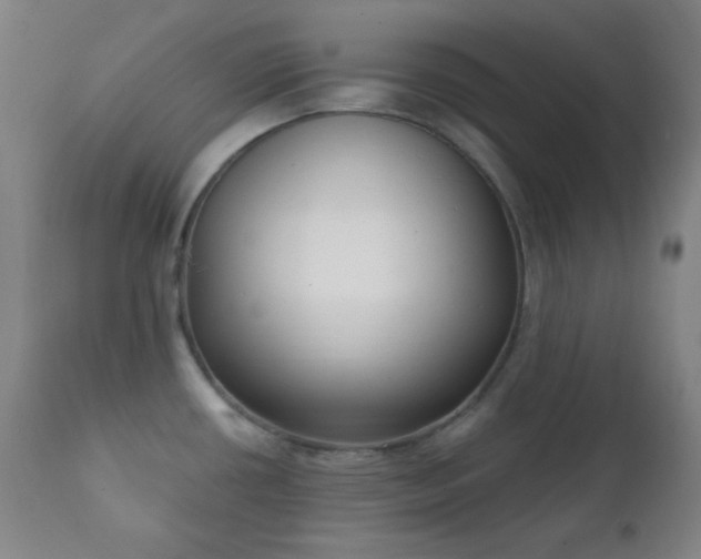 X0000111221434200907021324