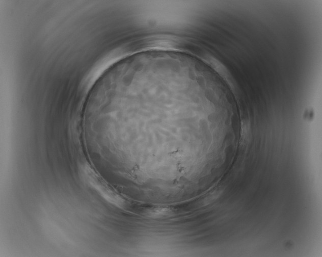 X0000111221435200907021324