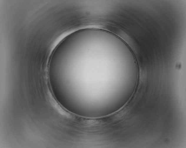 X0000111221436200907021324