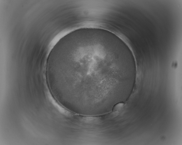 X0000111221437200907021324