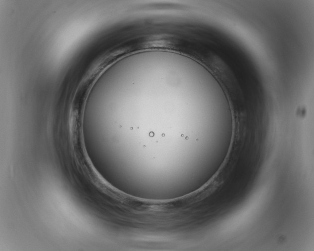 X0000111221438200907021324