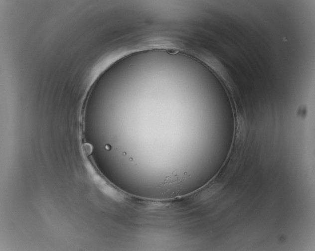 X0000111221439200907021324