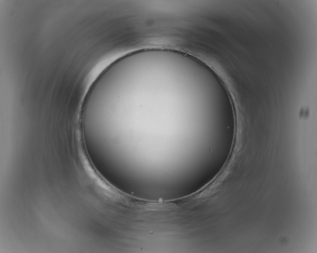 X0000111221440200907021324