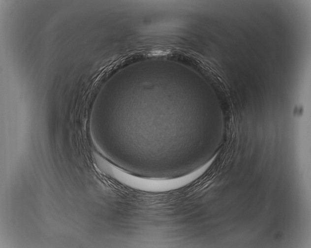 X0000111221441200907021323