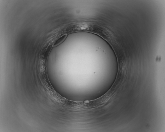 X0000111221442200907021323
