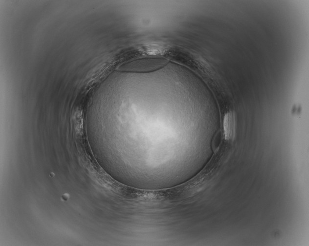 X0000111221443200907021323