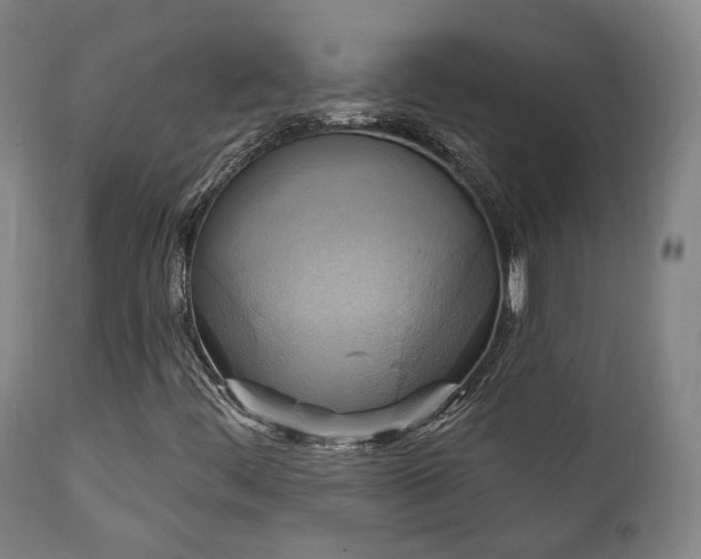 X0000111221444200907021323