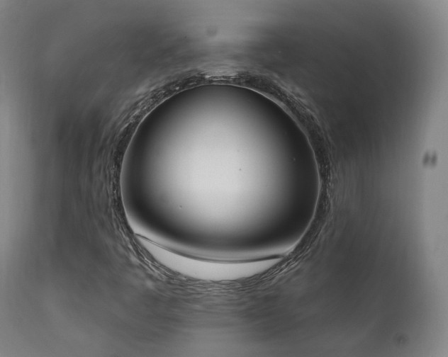X0000111221445200907021323