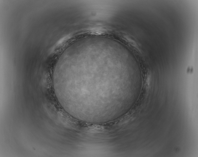 X0000111221446200907021323