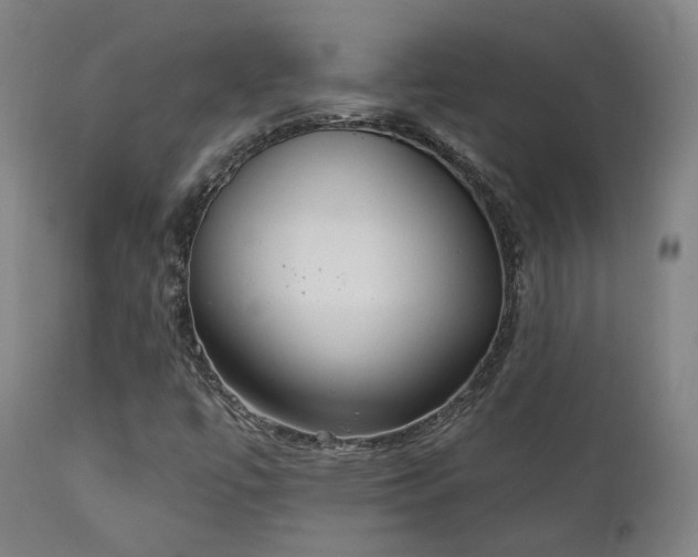 X0000111221447200907021323