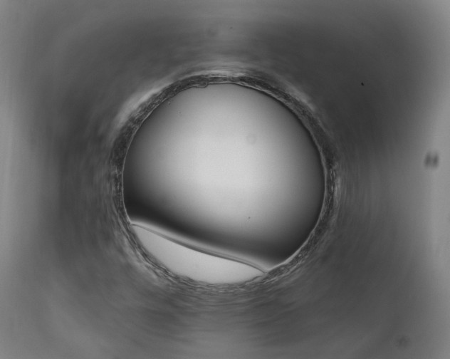 X0000111221448200907021323
