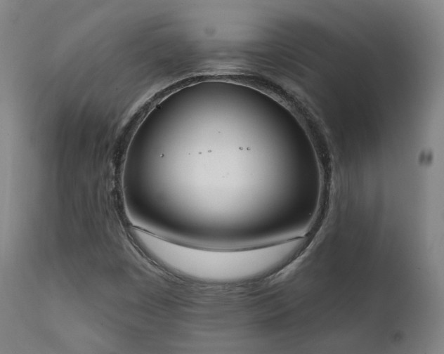 X0000111221449200907021323
