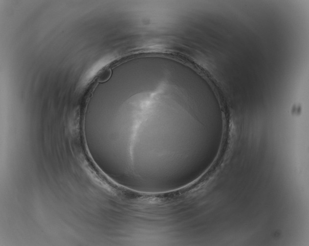 X0000111221450200907021323