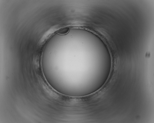 X0000111221451200907021323
