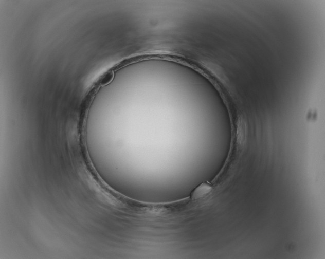 X0000111221452200907021323
