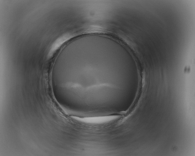 X0000111221453200907021323