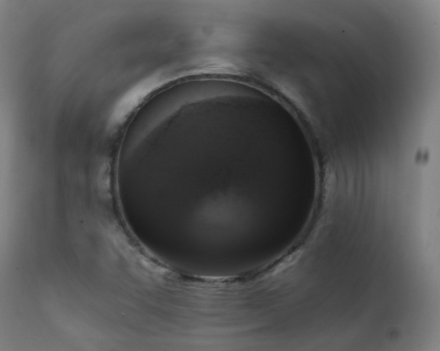 X0000111221455200907021323