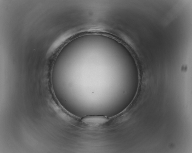 X0000111221456200907021323